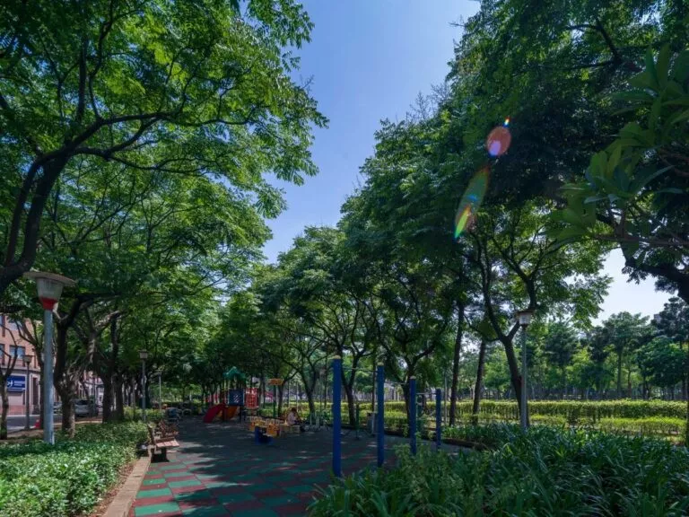 小檜溪（青溪特區）鄰近綠地＿ 朝陽森林公園