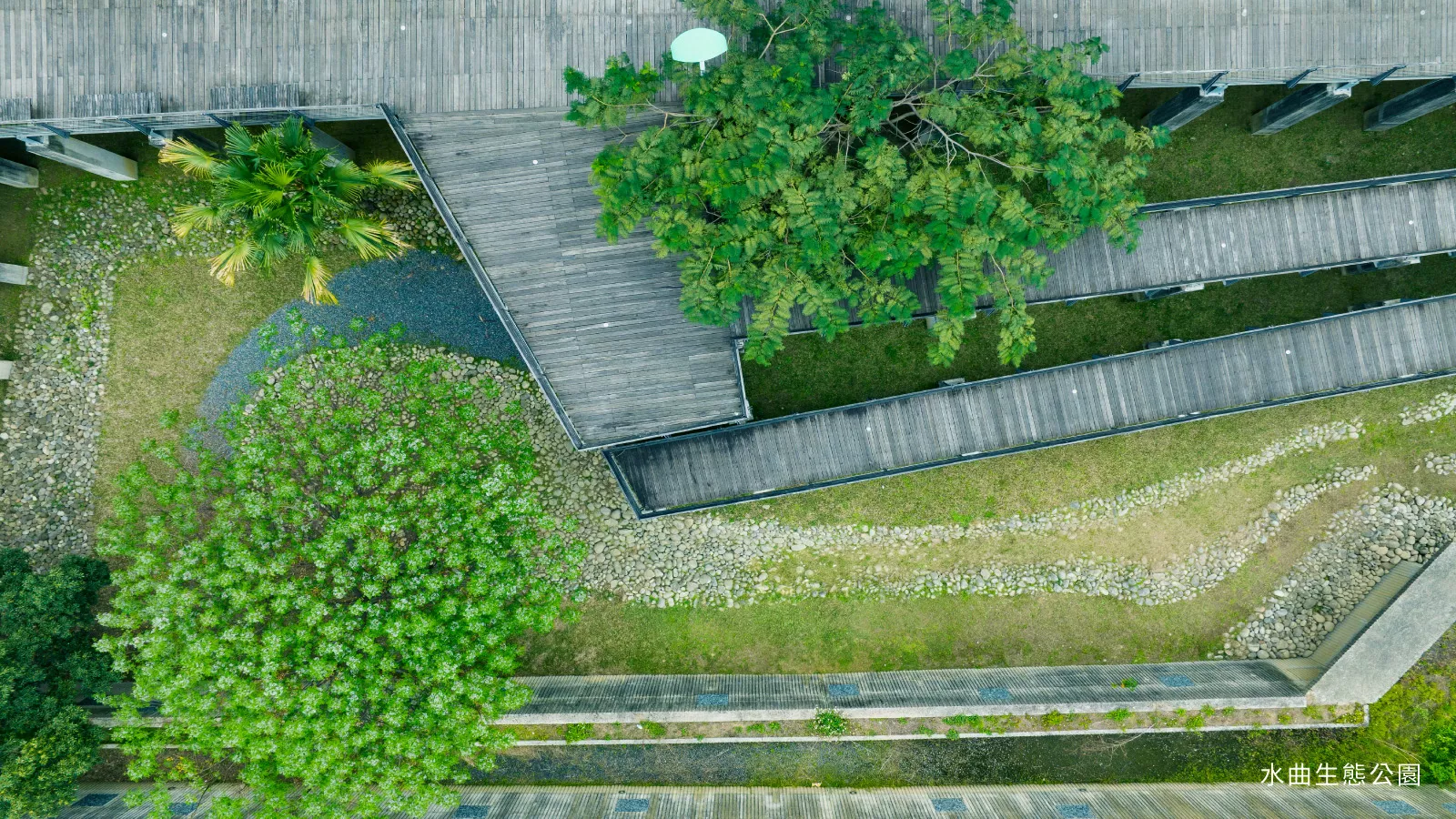 水曲生態公園