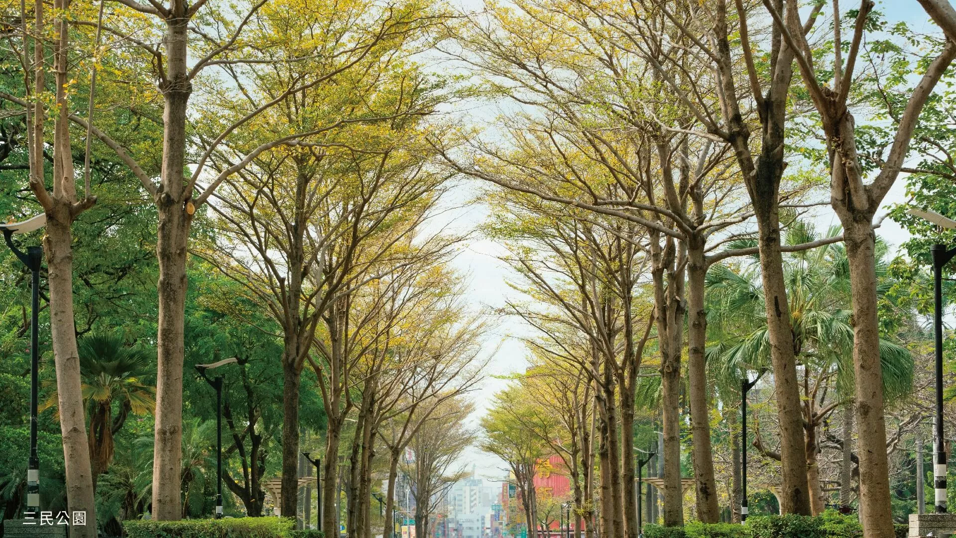 遠雄峰蘊近高雄三民區71期重劃區，5.8公頃綠帶，在市心回歸自然